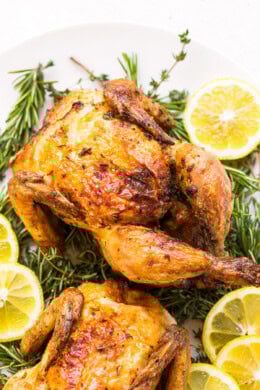 Cornish Hen in Air Fryer
