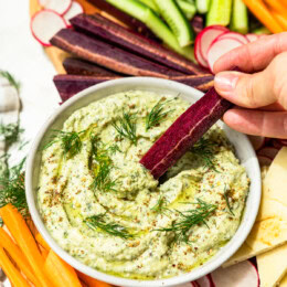 Roasted Zucchini Dip