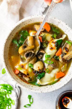 Potsticker Soup