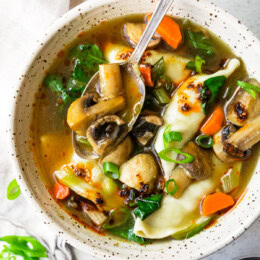 Potsticker Soup