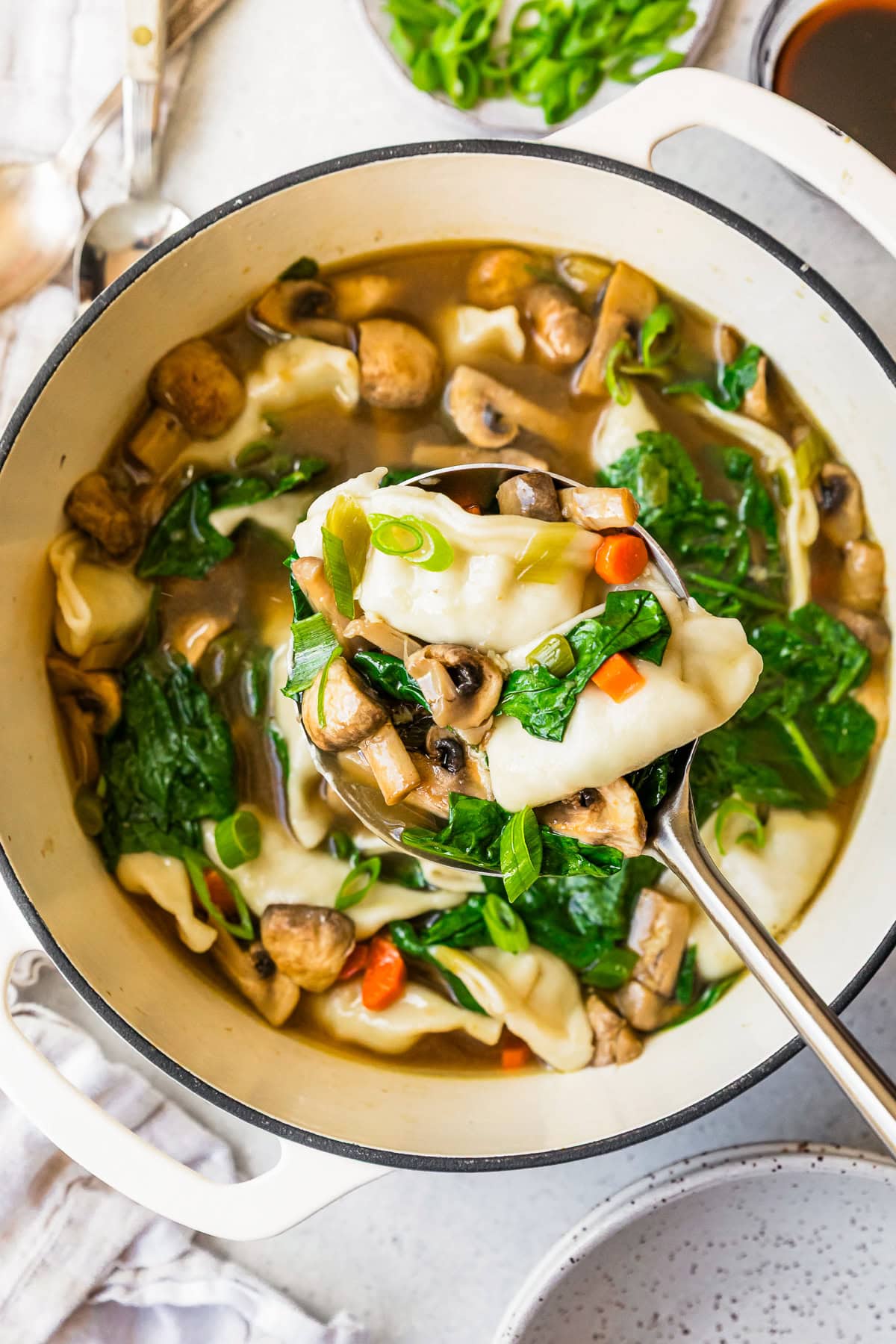 Potsticker Soup in a Dutch oven