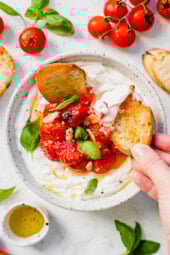 Whipped Ricotta Caprese Dip