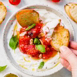 Whipped Ricotta Caprese Dip